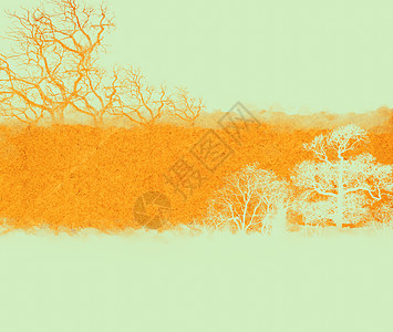 树上有古老的古董纸质叶子黄绿色金子边界水平绿色阴影风景框架树叶图片