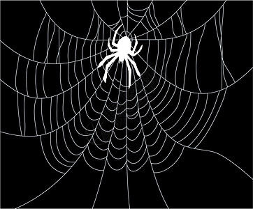 蜘蛛和网网络建造白色装饰品卡通片黑色陷阱墙纸危险框架图片