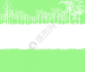 有树纸纹理叶子阴影芦苇植物树枝金子水平树叶风景绿色图片