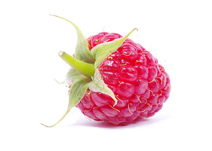 树莓草莓水果食物叶子花园宏观养分覆盆子红色白色绿色图片