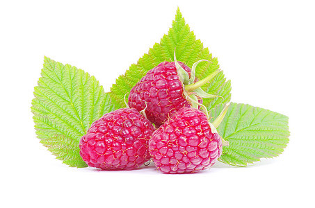 树莓草莓白色水果活力甜点食物叶子宏观覆盆子果味花园图片