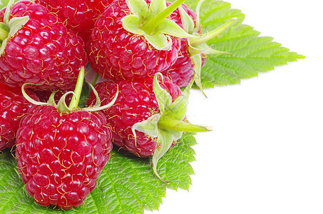 树莓草莓叶子红色水果养分绿色饮食覆盆子甜点白色果味图片