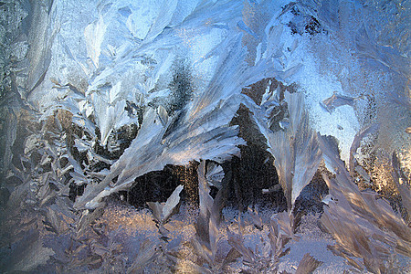 窗口上的冰结晶季节冻结雪花日落寒冷日出玻璃棕色窗户图片