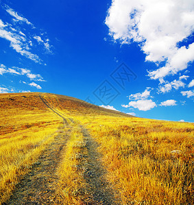 山区草地花瓣叶子季节天空蓝色场地生长太阳场景阳光图片