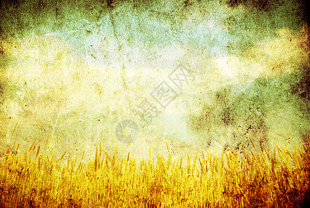 小麦田营养烘烤小麦生长农场蓝色耳朵玉米农村麦田图片