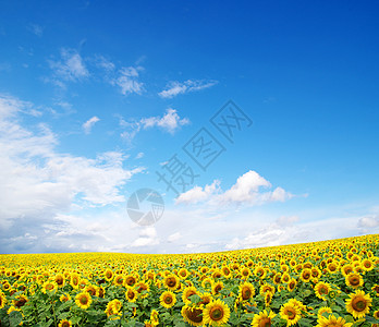 天空季节全球太阳白色射线晴天季节性多云天堂天气图片