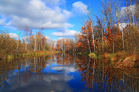 沿海河的秋木公园反射农村生活天空小路生态木头草地树叶图片