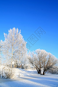 沿海河上小村庄药品脉冲地平线石头桦木旅行街道橡木蓝色雪堆图片