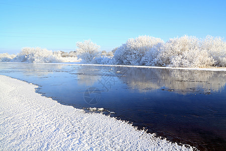 沿海河上的雪树海滩衬套桦木橡木石头海岸线街道田园松树木头图片