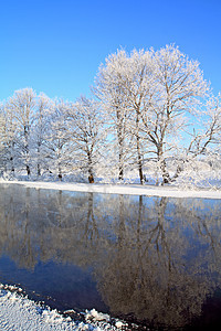 沿海河上的橡木街道桦木雪堆衬套地平线脉冲痕迹蓝色木头药品图片