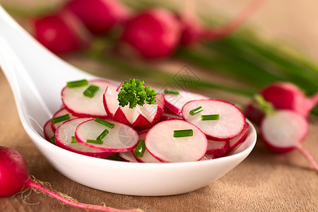 拉迪什沙拉和奇维斯红色叶子蔬菜沙拉草本植物食物水平照片绿色香菜图片