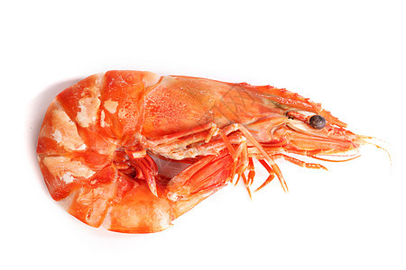 煮虾食物小吃营养贝类宏观老虎海鲜对虾动物盘子图片