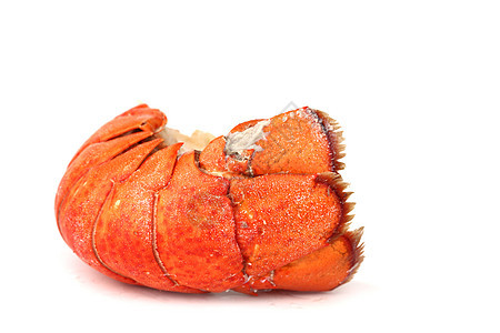龙虾尾岩石食物甲壳白色点燃海鲜贝类尾巴生活关节图片