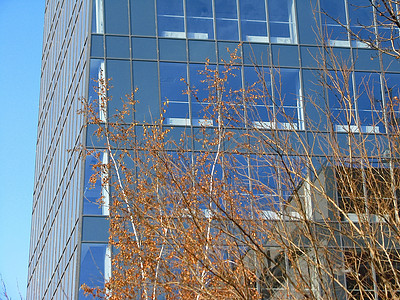 玻璃玻璃大楼房地产房子阳台勃起工作施工画廊窗户织物活动图片