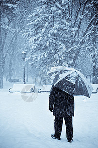 让它下雪木头男人调子季节松树森林冻结退休公园蓝色图片