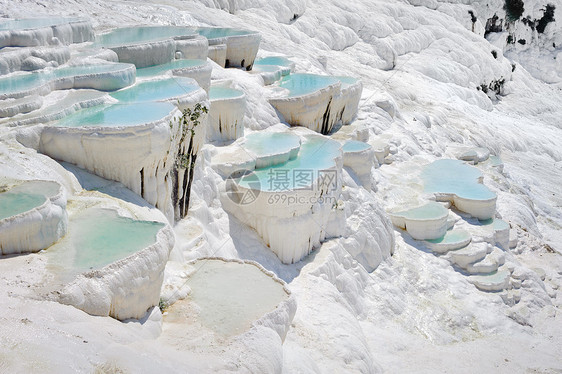 土耳其Pamukkale的蓝水穿河游泳池火鸡旅行订金岩石旅游假期青色碳酸盐地标游客图片