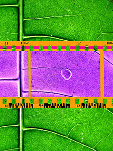 彩色相机胶片图片