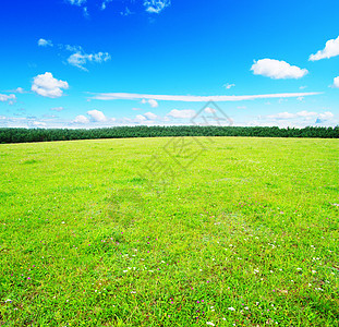 字段全景植物阳光天空农场草地牧场远景乡村土地背景图片