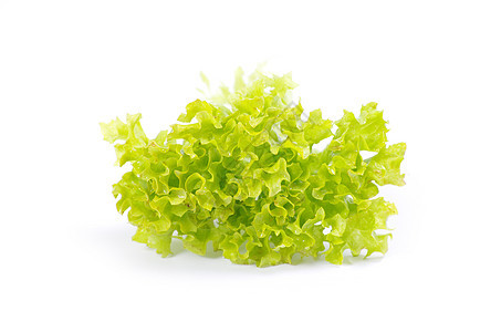 绿色沙拉叶子小吃营养食物饮食杂货店蔬菜养分美食图片