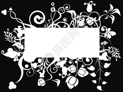 果叶招标树叶俱乐部长方形白色插图艺术创造力黑色精制枝条图片