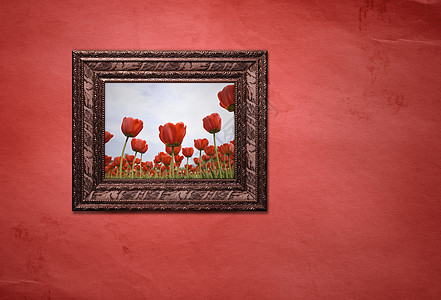 带有图片的边框生活文化花朵照片天空生长墙纸边界郁金香植物图片