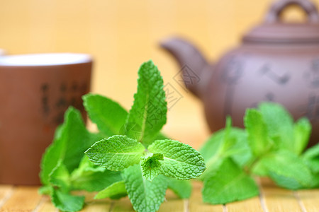 薄荷茶美食英语文化小吃早餐草本植物食物杯子工作室液体图片