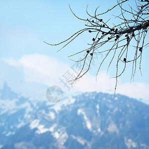 弹簧振动体国家自由旅游岩石假期爬坡土地高山顶峰场景图片