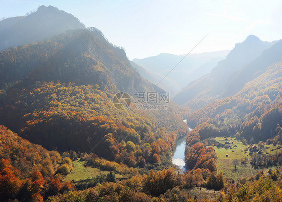 塔拉河峡谷村庄植物阳光季节森林塔拉叶子建筑山脉爬坡图片