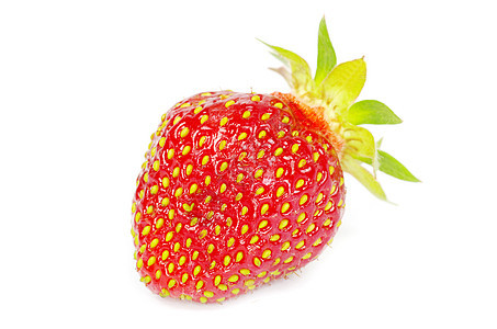 草莓活力种子宏观白色叶子食物水果红色团体绿色图片