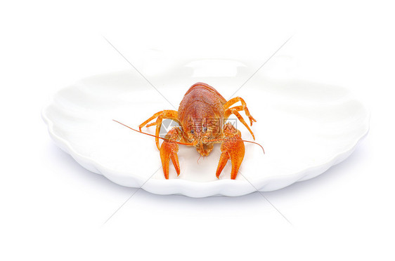 龙虾食物午餐天线海鲜眼睛白色宏观美食小龙虾小吃图片