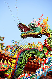 亚洲神庙龙动物雕塑建筑学警卫旅游雕像艺术庆典生物装饰品图片