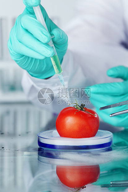 番茄DNA变化注射器花园饮食蔬菜农业基因组化学品实验室工厂烹饪图片