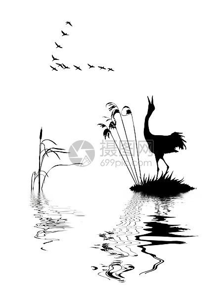 湖上鸟儿的矢量光影绘画航班阴影鸭子移民起重机鸟类草图夹子海浪图片