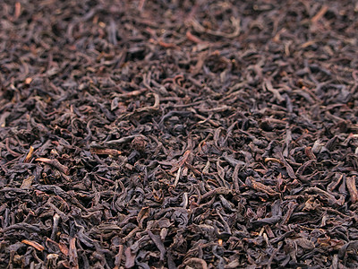 茶叶作物草本植物种植园场地生长植物杯子农场食物农业药品图片