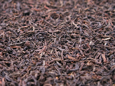 茶叶作物药品黑色生长草本食物草本植物保健叶子农业植物图片
