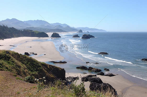 俄勒冈海岸太平洋西北悬崖和印章海滩探索花朵地平线海洋鸟类树木植物群岩石森林阴霾图片