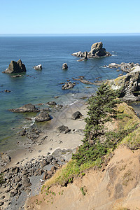 俄勒冈海岸太平洋西北悬崖和印章海滩远足森林地平线植被微风探索波浪海洋野餐花朵图片