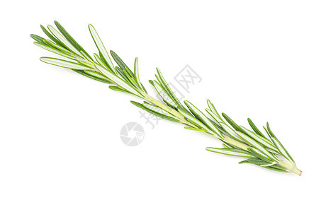 迷宫草本芳香草药烹饪绿色香料白色食物叶子植物图片