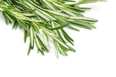 迷宫叶子绿色香料食物烹饪迷迭香白色草本植物芳香图片