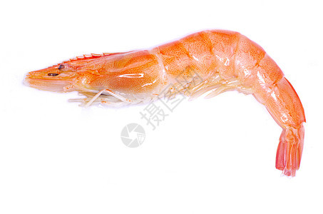 虾橙子宏观海鲜甲壳白色食物动物尾巴贝类小吃背景图片