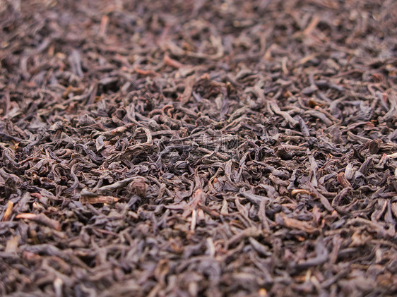 茶叶作物草本植物黑色药品叶子卫生农场树叶草本农业水平图片