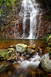 瀑布游泳叶子场景树木公园溪流池塘岩石旅游远足图片