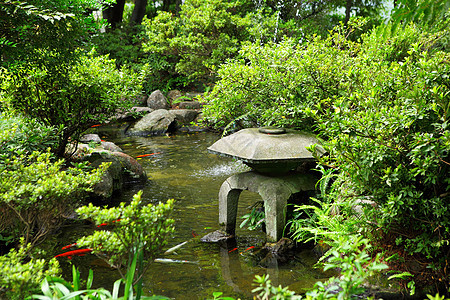 日本花园植物生长园丁池塘绿色公园院子草地小路灌木丛图片