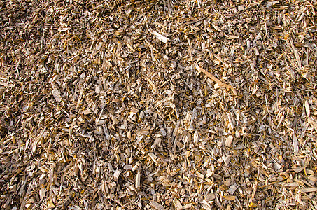 木屑的背景 Biomas燃料图片