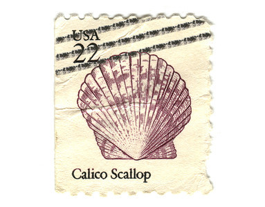 白背景的美国邮票 22c明信片船运邮政水印卡片邮件扇贝集邮邮戳邮资图片