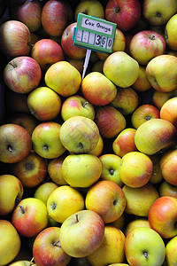 出售的苹果家养特价植物学成熟度标签市场摊位待售水果价格图片