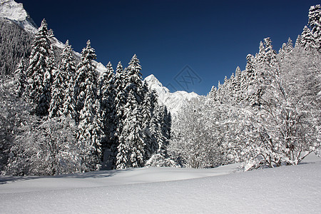 在阳光明媚的一天 清雪过后 山峰和树林高山椅子远足树木享受森林旅游晴天滑雪冰川图片
