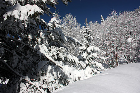 在阳光明媚的一天 清雪过后 山峰和树林石头雪猫树木滑雪椅子高地远足空气蓝色岩石图片