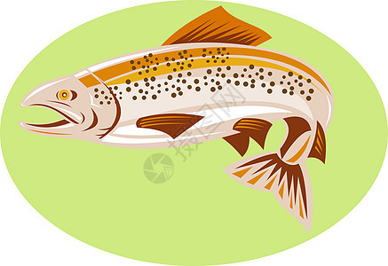 鲑鱼跳跃斑点插图野生动物图片