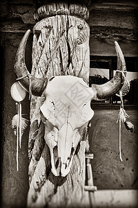 牛头骨社区历史世界遗产颅骨地标部落原住民牛角国家文化图片